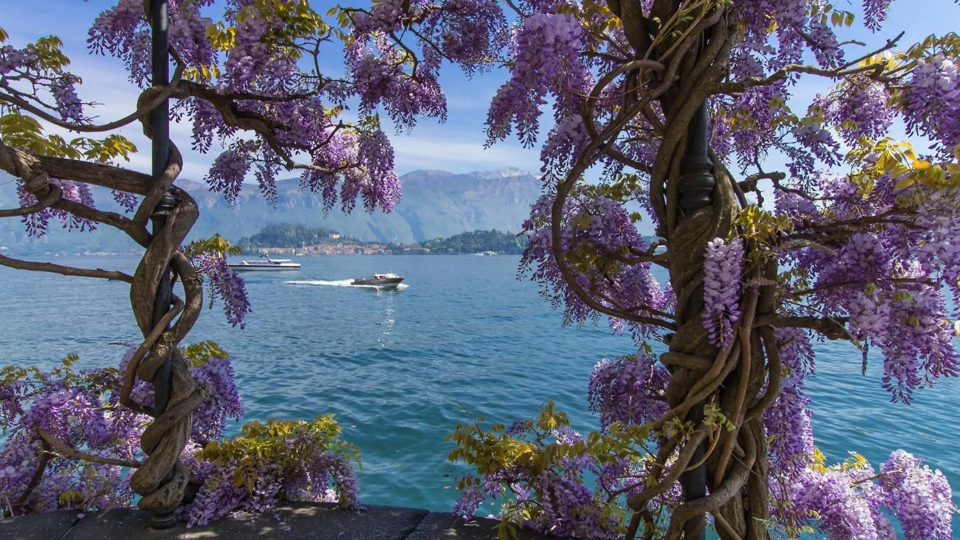 Residence Degli Oleandri 6A Italy